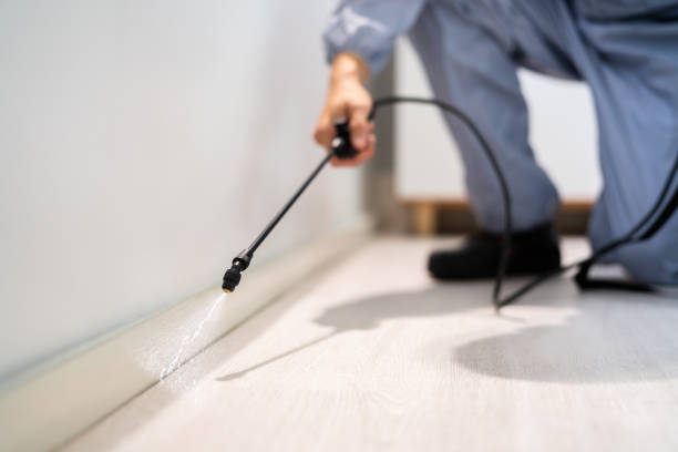 Licensed Cockroach Control service in Pontiac, IL - Nex Pest Control