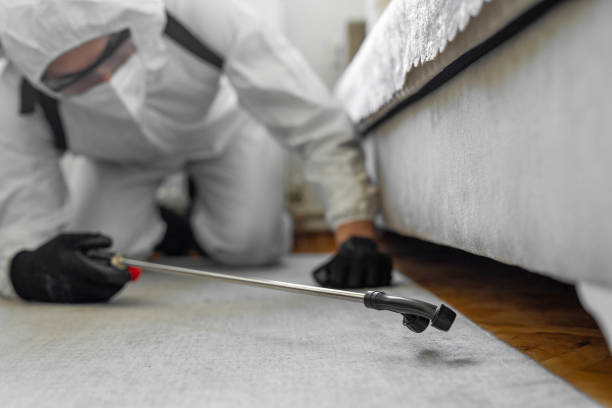 Professional Cockroach Control technician working in Pontiac, IL