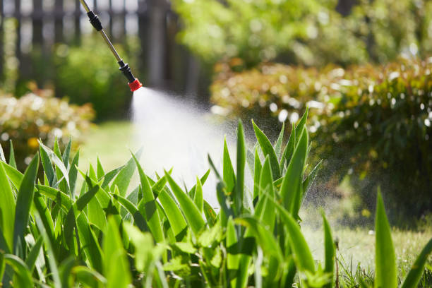 24/7 Emergency Cockroach Control experts in Pontiac, IL