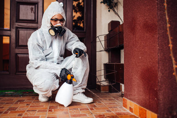 Reliable Cockroach Control contractor in Pontiac, IL by Nex Pest Control